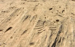 al jassasiya petroglyphs qatar