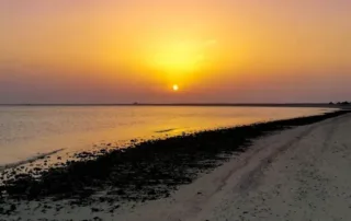 al safliya island qatar