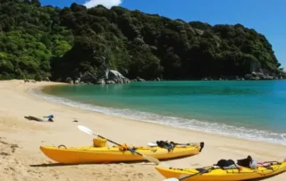 beaches in new zealand