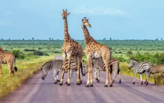 best places to visit in south africa