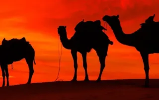 desert safari in kuwait