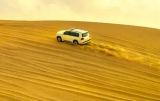 experience the thrill of safari in desert for your qatar holidays