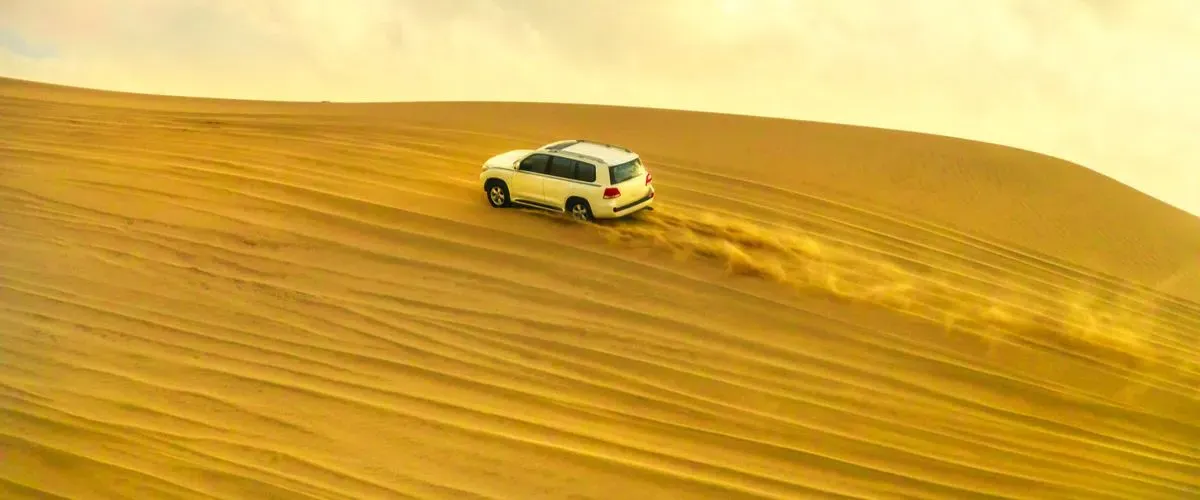 experience the thrill of safari in desert for your qatar holidays