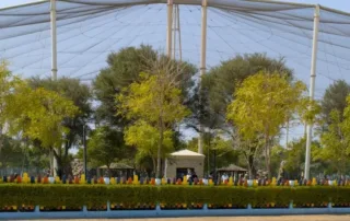 explore the wildlife of qatar at al khor family park zoo