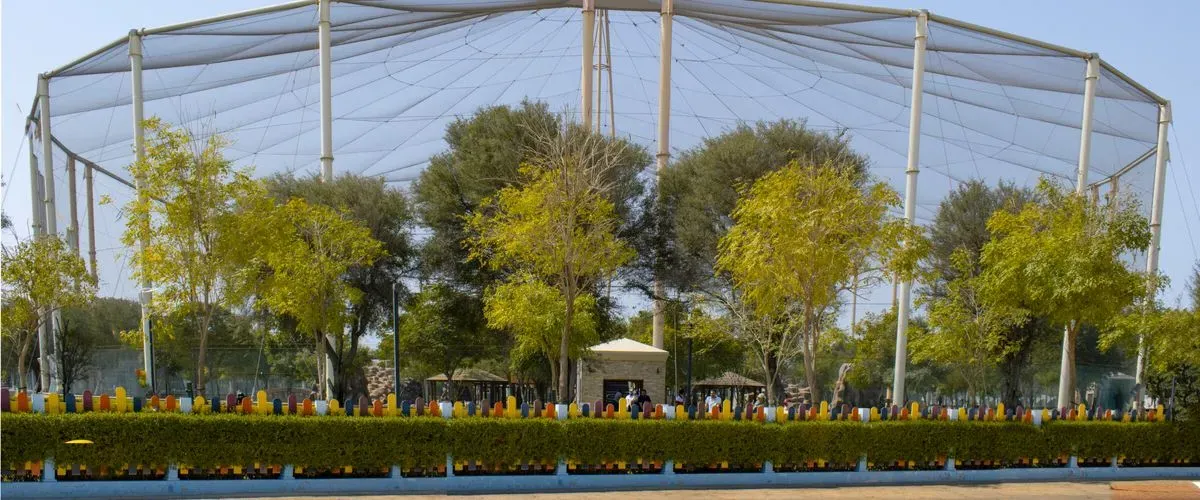 explore the wildlife of qatar at al khor family park zoo