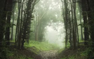 haunted places in ooty