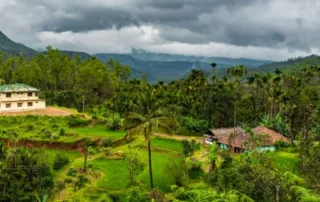 honeymoon resorts in chikmagalur