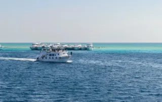 islands in saudi arabia