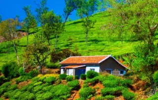 places to visit in coonoor
