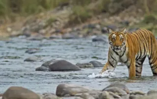 places to visit in jim corbett