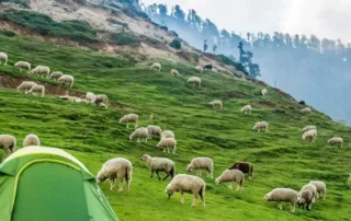 places to visit in kangra
