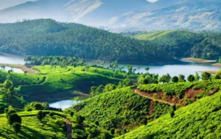 places to visit in munnar