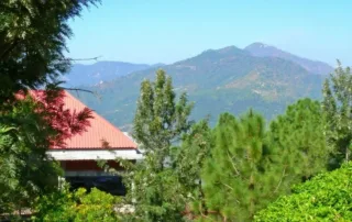 places to visit in parwanoo