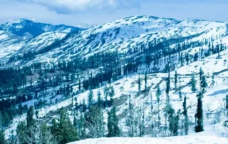places to visit in patnitop