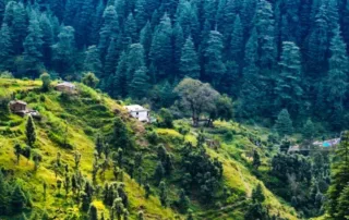 places to visit in ranikhet
