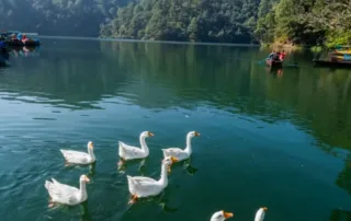 things to do in bhimtal