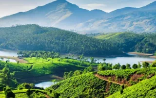 things to do in munnar