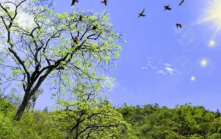 things to do in nahan