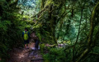 things to do in parwanoo