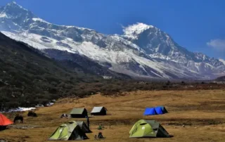 things to do in pelling