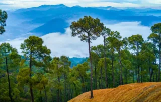 things to do in ranikhet