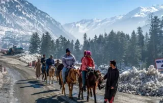 things to do in sonmarg