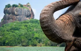 things to do in sri lanka