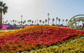 things to do in taif