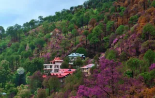 top places to visit in kasauli