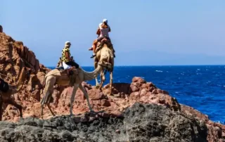 top things to do in dahab egypt