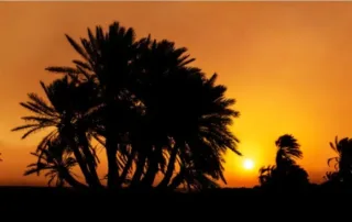 umm bab beach in al shahaniya qatar